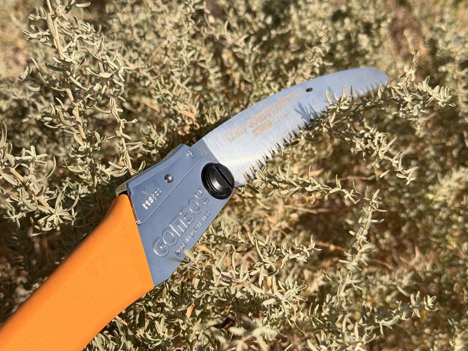 Silky GomBoy folding saw open in the brush